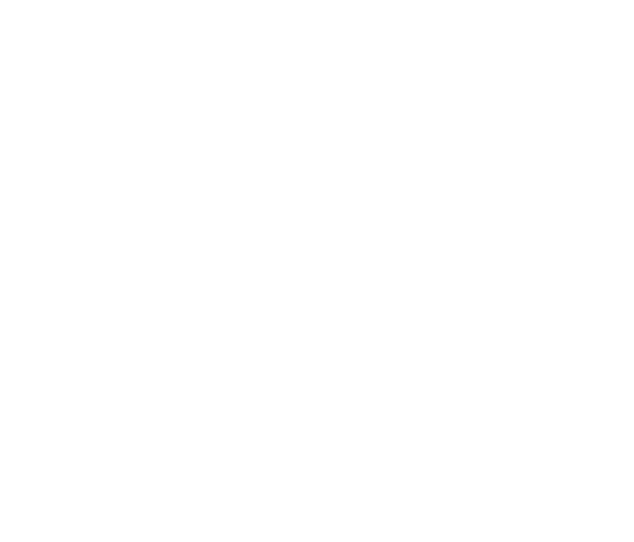 Camera-white